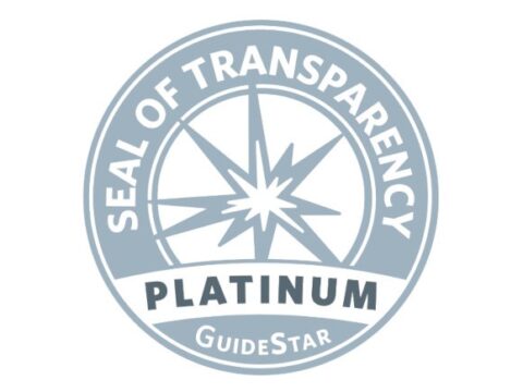 guidestar wide 480x360